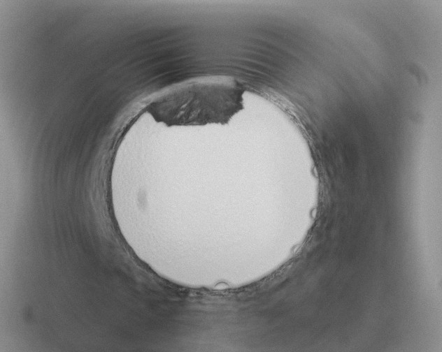 X0000116110337201001041016