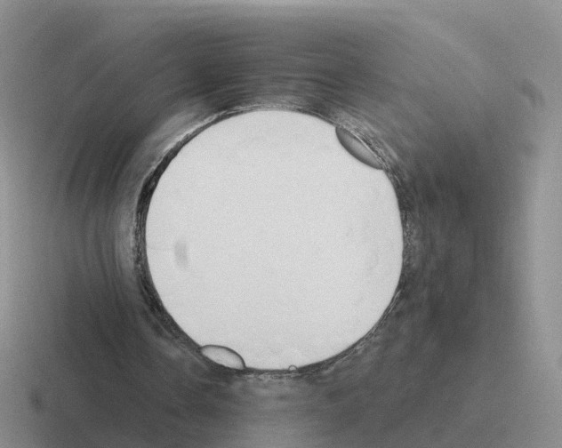 X0000116110338201001041016