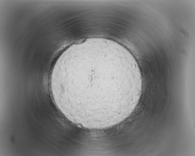 X0000116110345201001041016