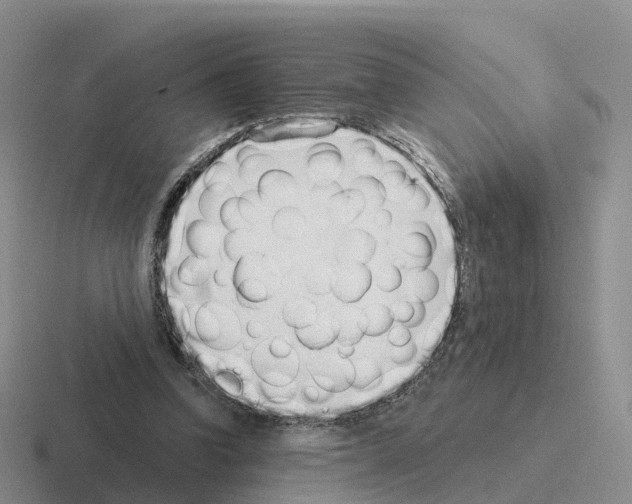 X0000116110346201001041016