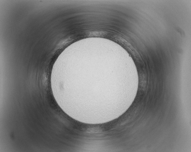 X0000116110357201001041016