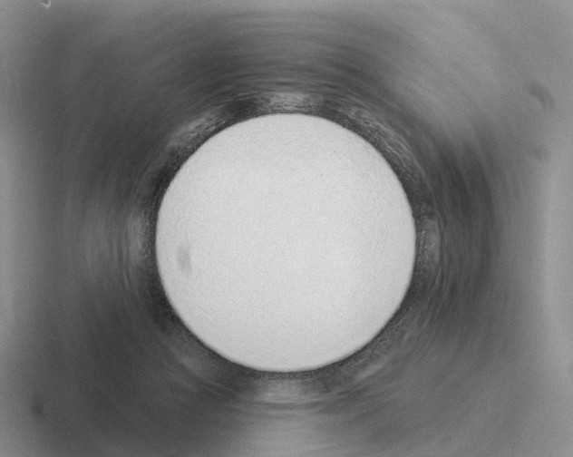 X0000116110361201001041016