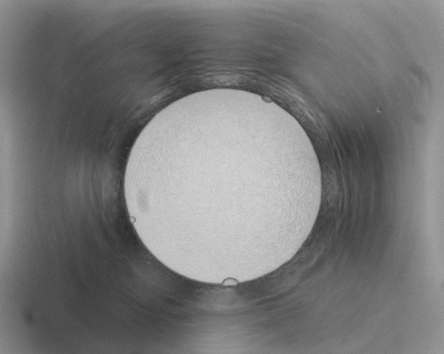 X0000116110374201001041016