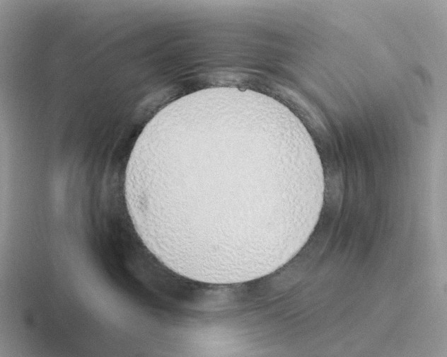 X0000116110381201001041016