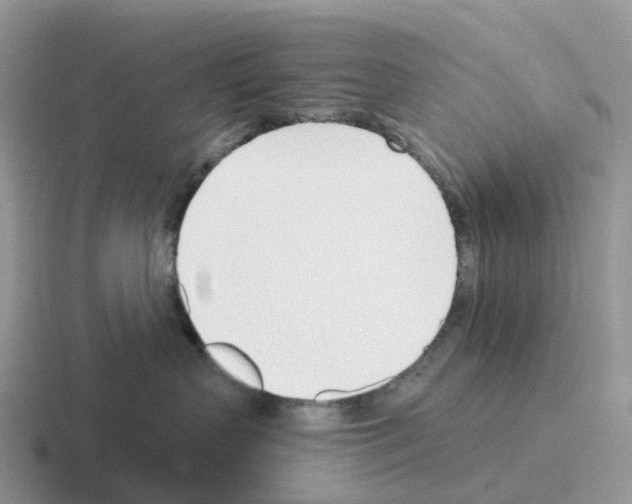 X0000116110383201001041016