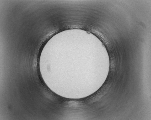 X0000116110394201001041015
