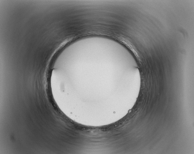 X0000116110395201001041015