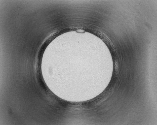 X0000116110396201001041015