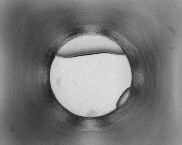 X0000116110413201001041015