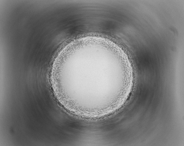 X0000116110415201001041015