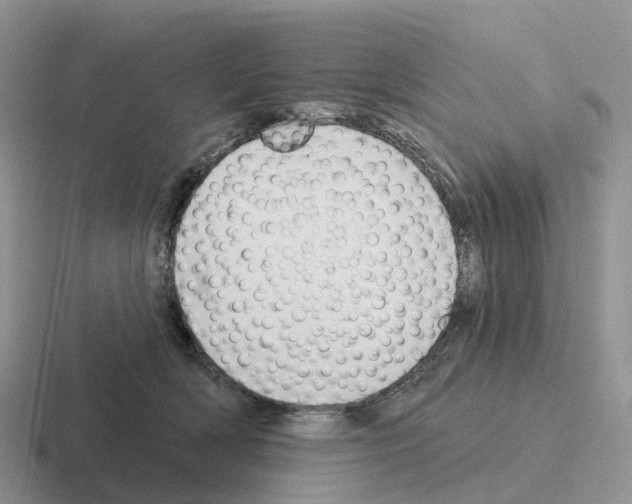 X0000116110418201001041015
