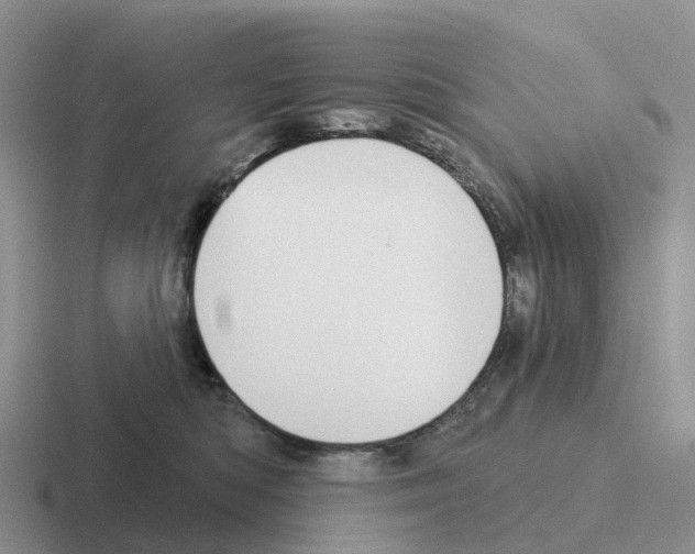 X0000116110422201001041015