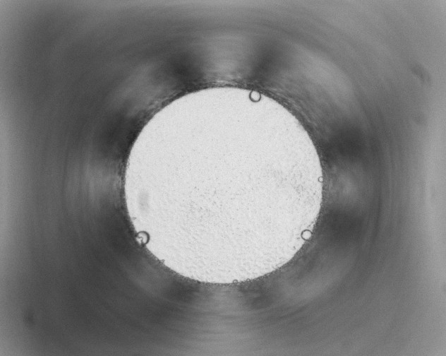 X0000116110427201001041015