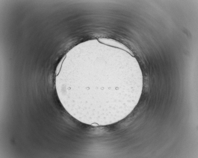 X0000116110428201001041015
