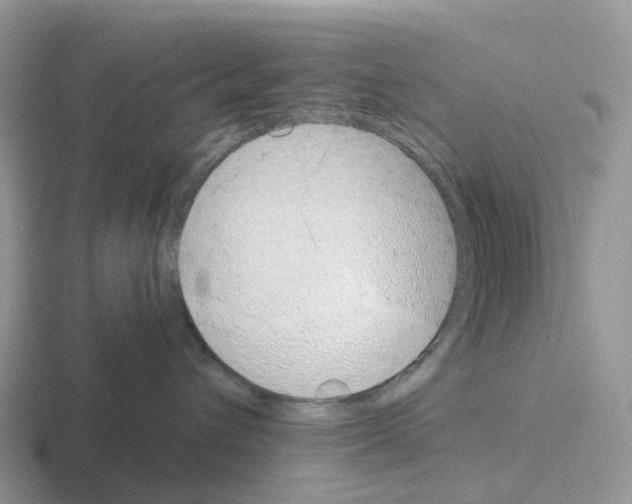X0000116110432201001041015