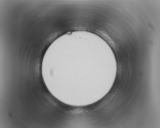 X0000116110441201001041014