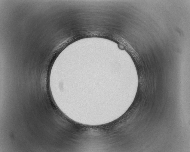 X0000116110442201001041014
