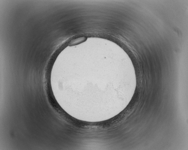 X0000116110448201001041014