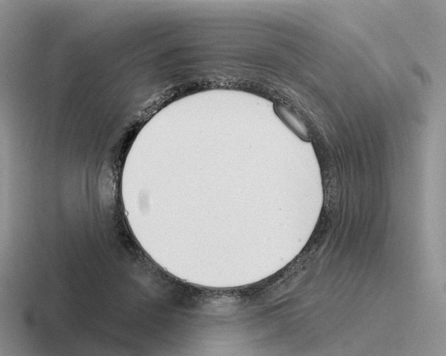 X0000116110456201001041015