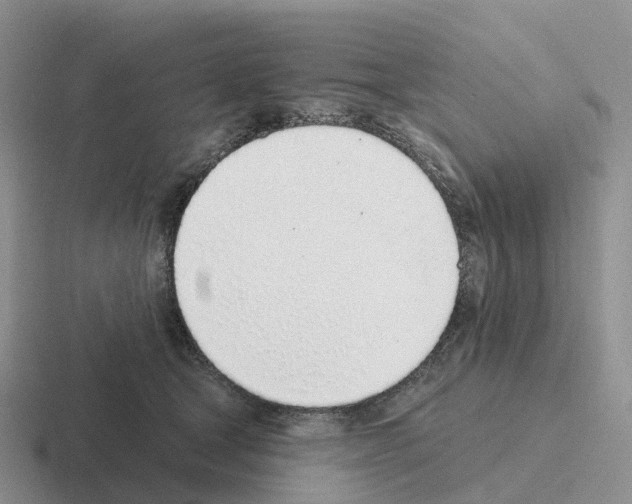 X0000116110465201001041015