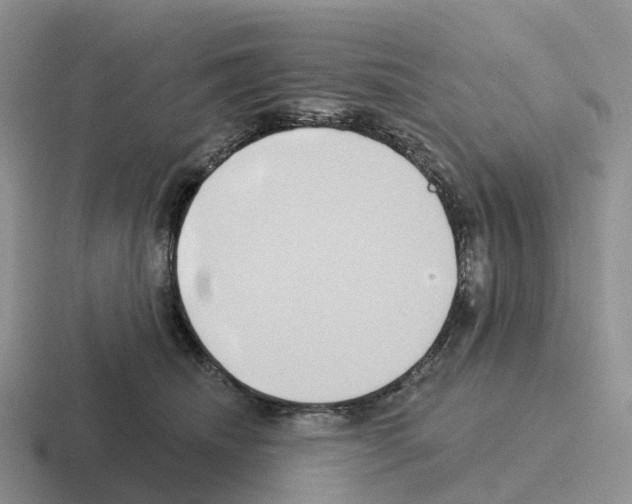 X0000116110468201001041015