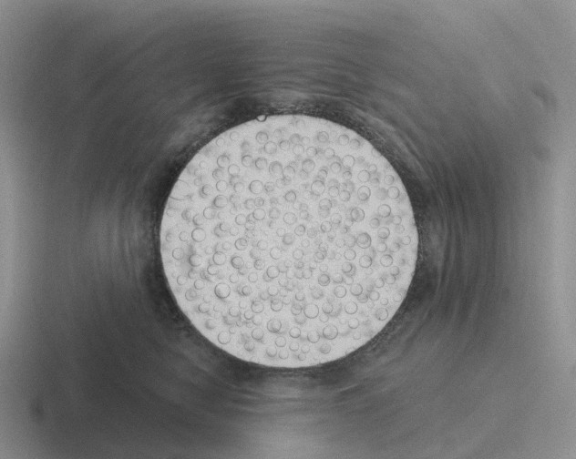 X0000116110470201001041015