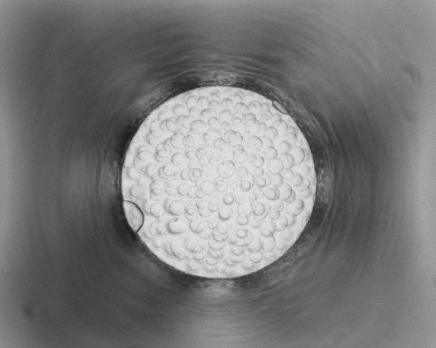 X0000116110474201001041015
