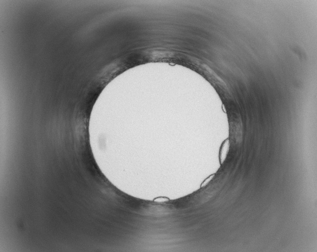 X0000116110475201001041015