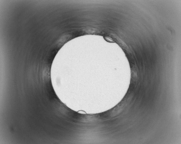 X0000116110479201001041015