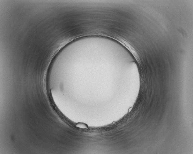 X0000116110485201001041014
