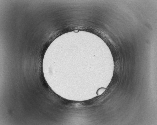 X0000116110509201001041014