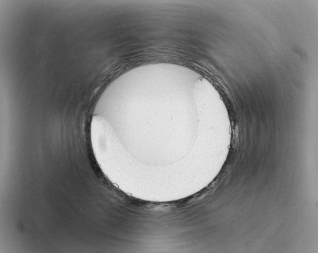 X0000116110520201001041014