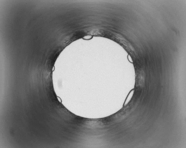 X0000116110521201001041014