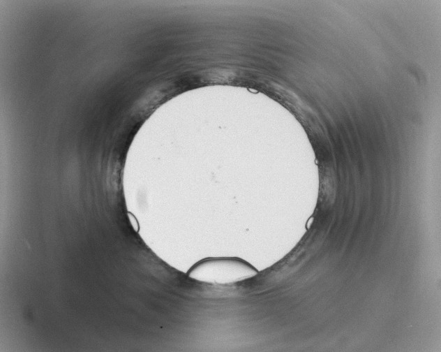 X0000116110525201001041014