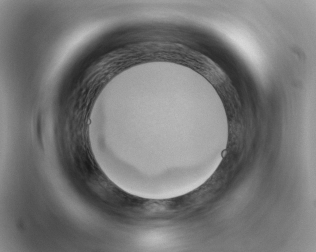 X0000116110526201001041014