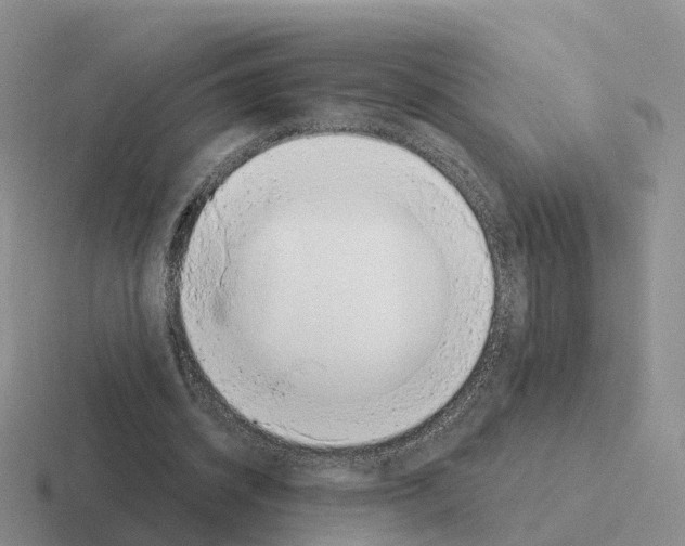 X0000116110534201001041013