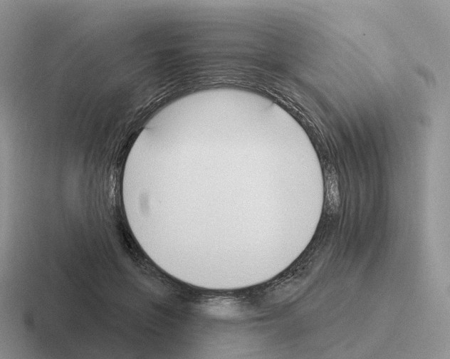 X0000116110551201001041013