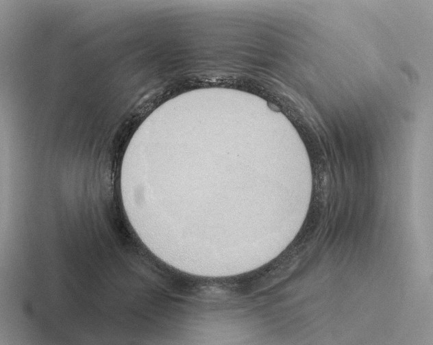 X0000116110558201001041013
