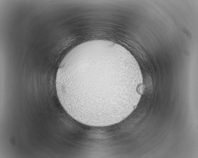 X0000116110559201001041013