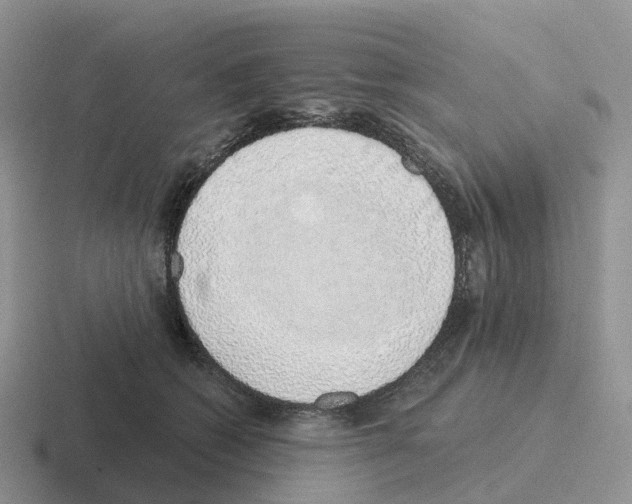 X0000116110562201001041014