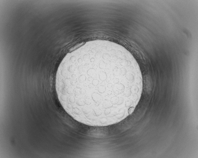 X0000116110563201001041014