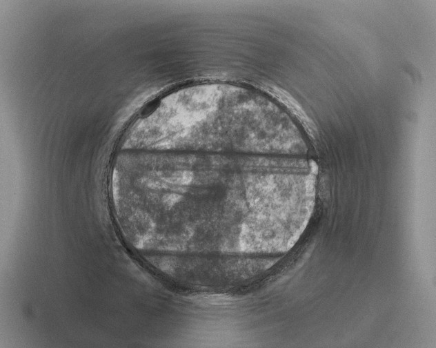 X0000116110577201001041013