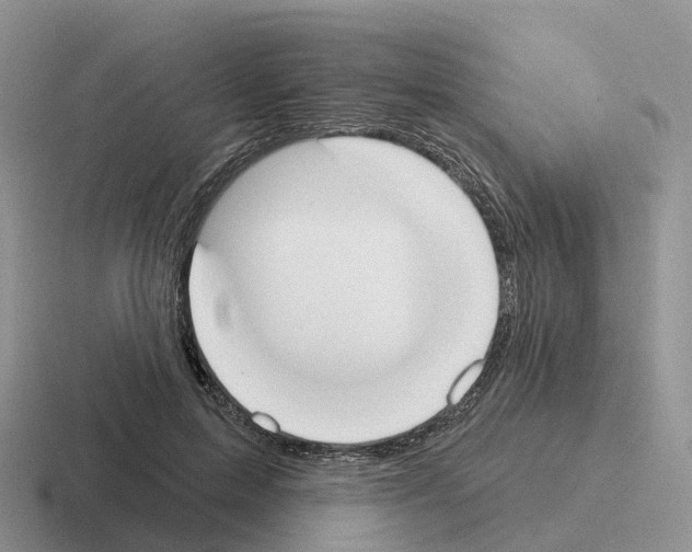X0000116110599201001041013