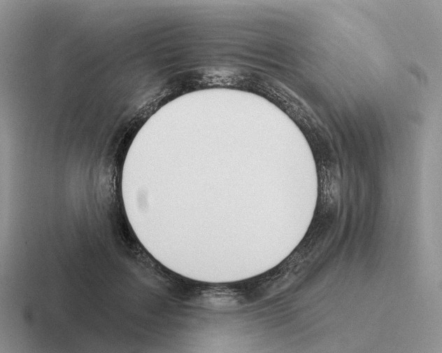X0000116110603201001041013