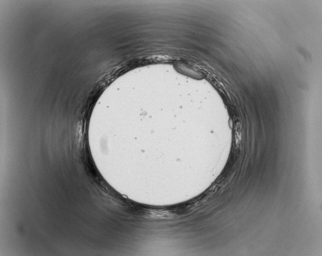 X0000116110605201001041013