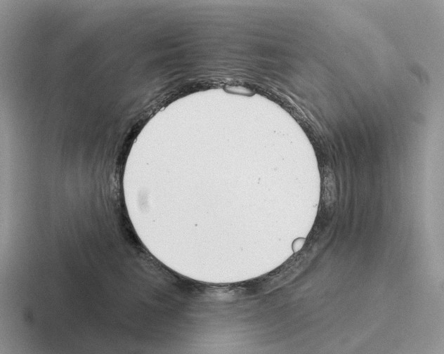 X0000116110613201001041013