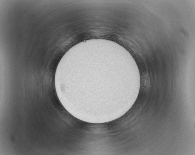 X0000116110615201001041013