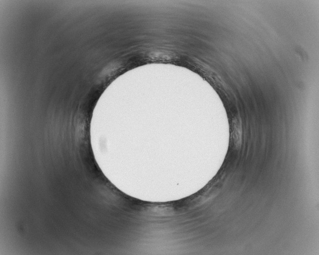 X0000116110619201001041013