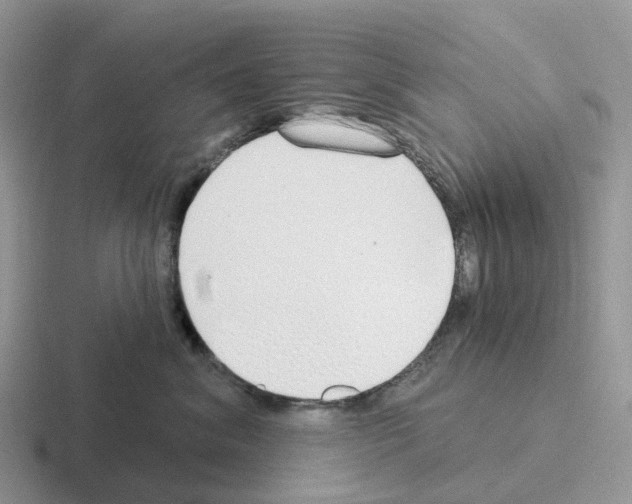 X0000116110620201001041013