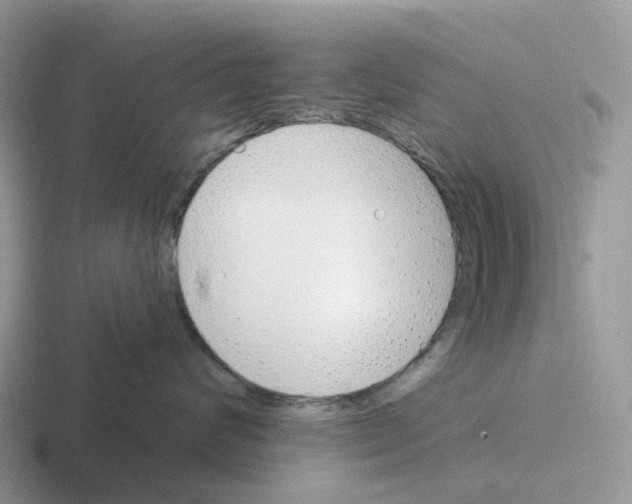 X0000116110624201001041012